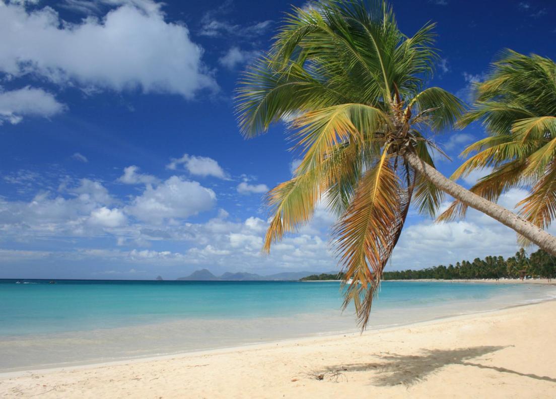 - Les Pieds Dans L'Eau A 50M De La Plage, Cote Mer Caraibe - Domaine De L'Anse Caritan - Sainte-Anne - Exterior foto