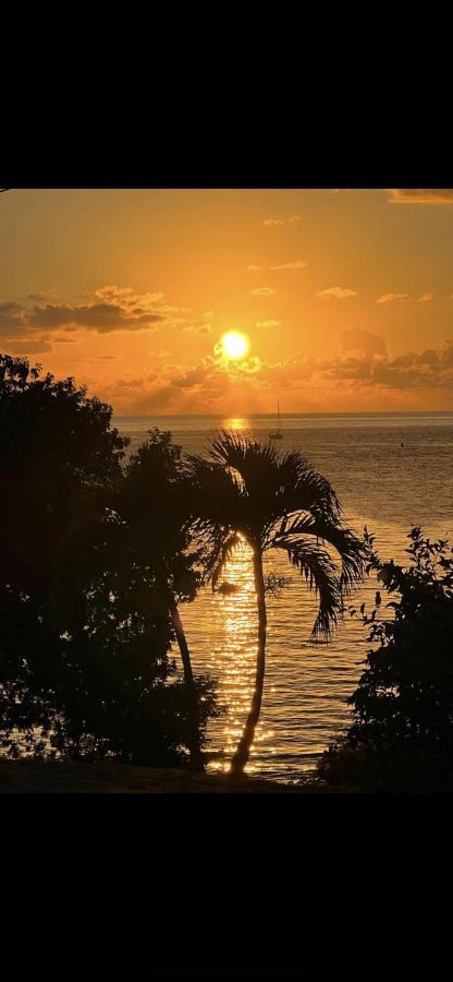 - Les Pieds Dans L'Eau A 50M De La Plage, Cote Mer Caraibe - Domaine De L'Anse Caritan - Sainte-Anne - Exterior foto